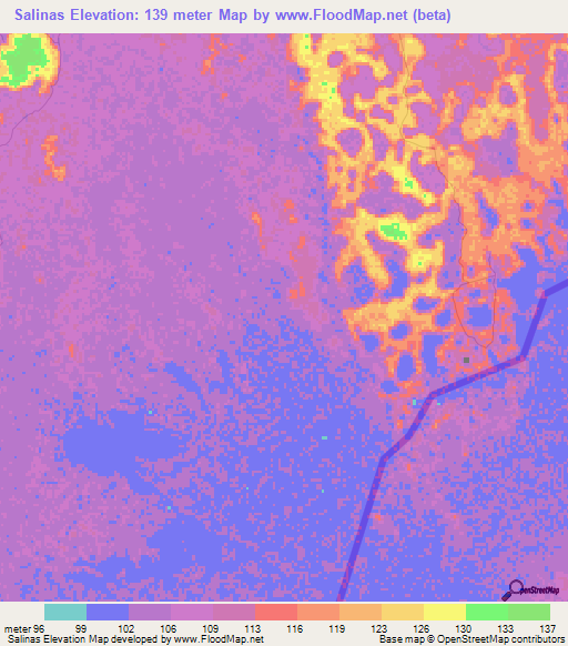 Salinas,Bolivia Elevation Map