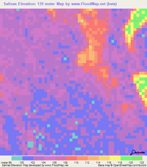 Salinas,Bolivia Elevation Map