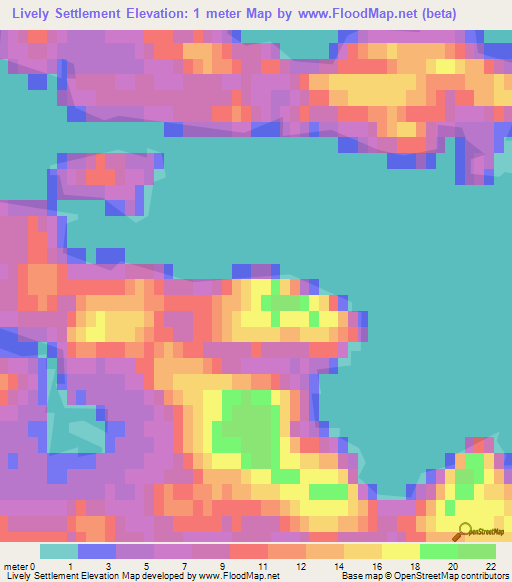 Lively Settlement,Falkland Islands Elevation Map