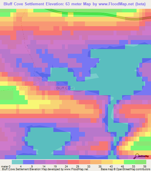 Bluff Cove Settlement,Falkland Islands Elevation Map