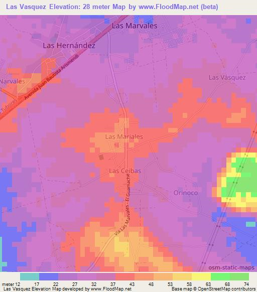 Las Vasquez,Venezuela Elevation Map