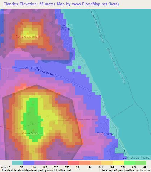 Flandes,Venezuela Elevation Map