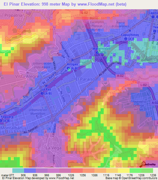 El Pinar,Venezuela Elevation Map