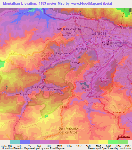 Montalban,Venezuela Elevation Map