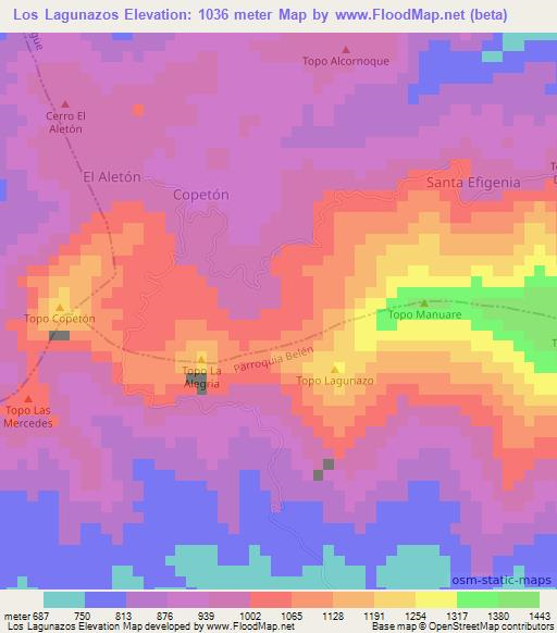 Los Lagunazos,Venezuela Elevation Map