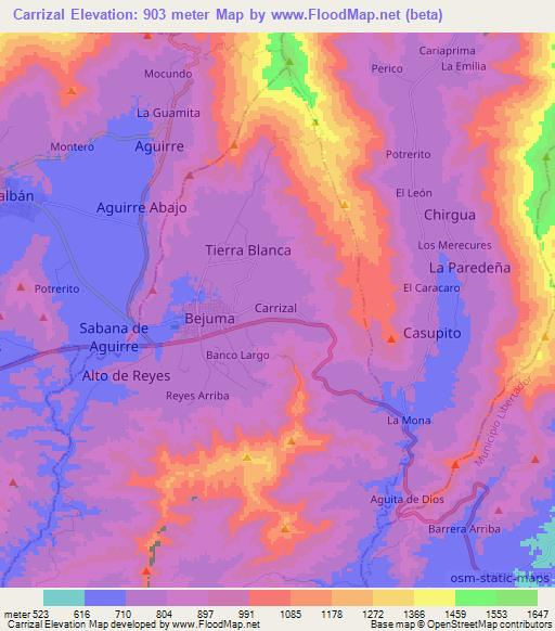 Carrizal,Venezuela Elevation Map