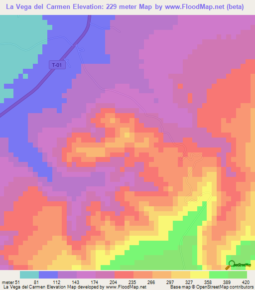 La Vega del Carmen,Venezuela Elevation Map