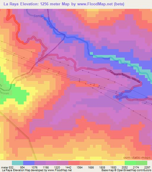 La Raya,Venezuela Elevation Map