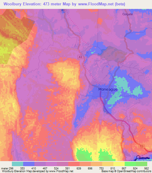 Woolbury,Jamaica Elevation Map
