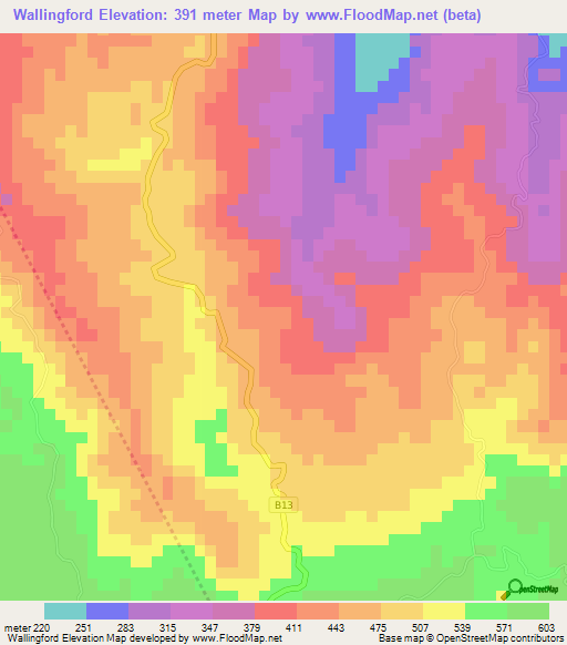 Wallingford,Jamaica Elevation Map