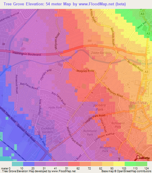 Tree Grove,Jamaica Elevation Map