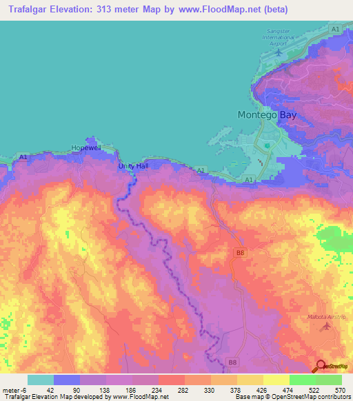 Trafalgar,Jamaica Elevation Map