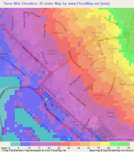 Three Mile,Jamaica Elevation Map