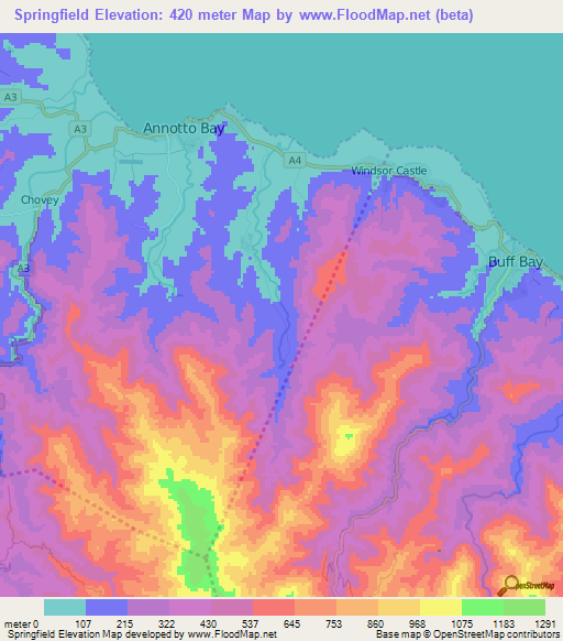Springfield,Jamaica Elevation Map