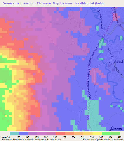 Somerville,Jamaica Elevation Map