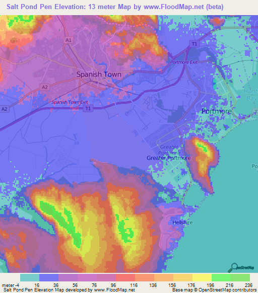 Salt Pond Pen,Jamaica Elevation Map