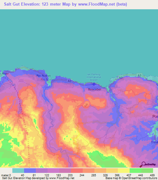 Salt Gut,Jamaica Elevation Map