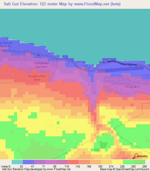 Salt Gut,Jamaica Elevation Map
