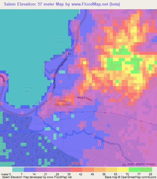 Salem,Jamaica Elevation Map