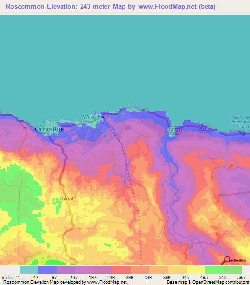 Roscommon,Jamaica Elevation Map
