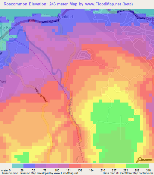 Roscommon,Jamaica Elevation Map