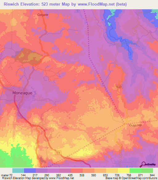 Riswich,Jamaica Elevation Map