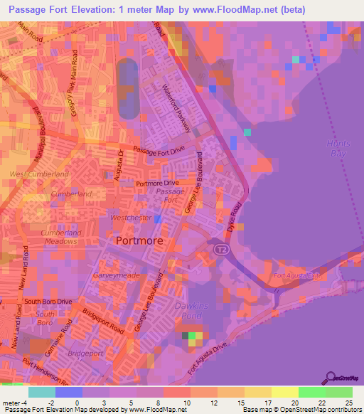Passage Fort,Jamaica Elevation Map