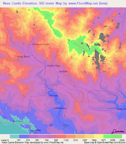 Ness Castle,Jamaica Elevation Map