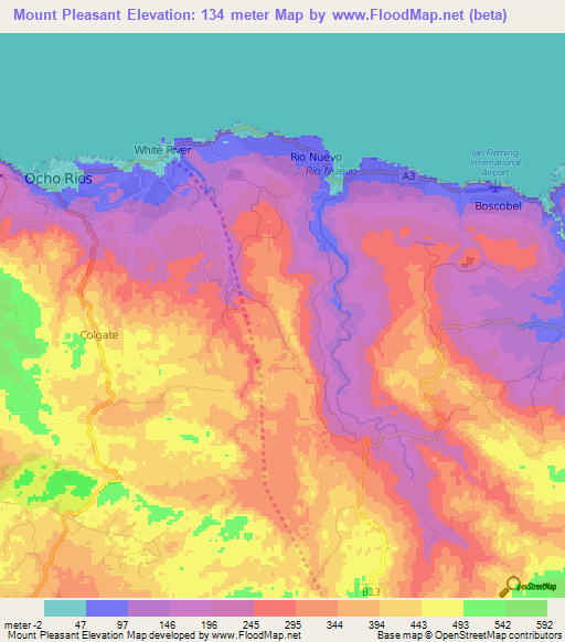 Mount Pleasant,Jamaica Elevation Map