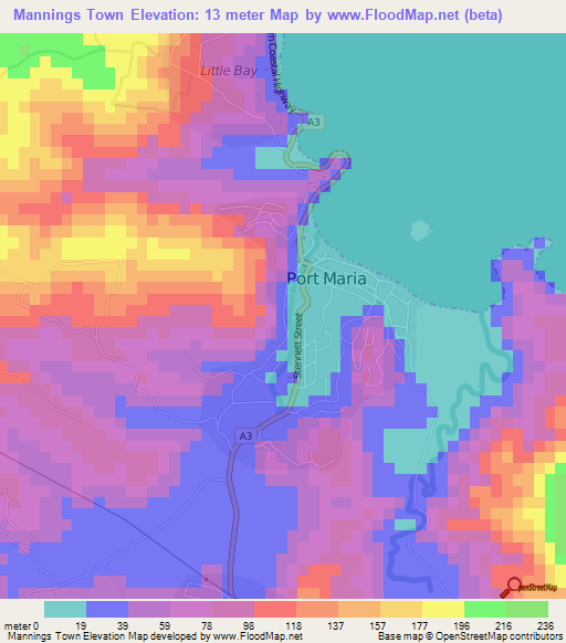 Mannings Town,Jamaica Elevation Map