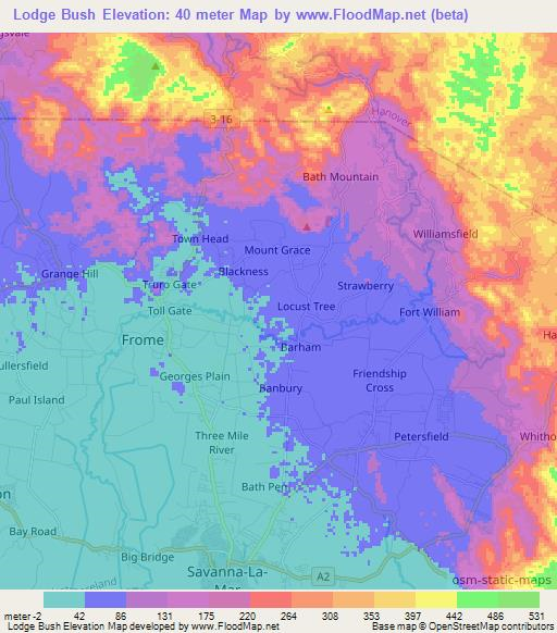 Lodge Bush,Jamaica Elevation Map