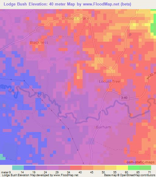 Lodge Bush,Jamaica Elevation Map