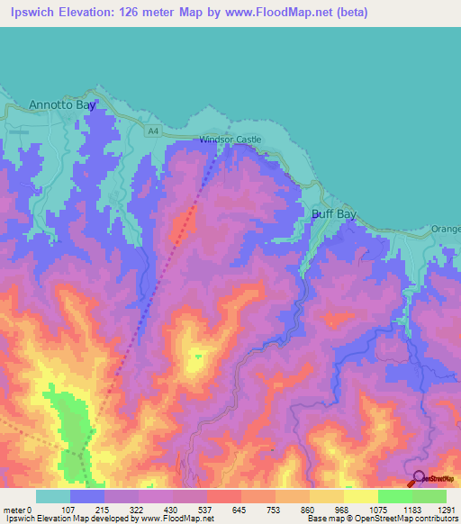 Ipswich,Jamaica Elevation Map