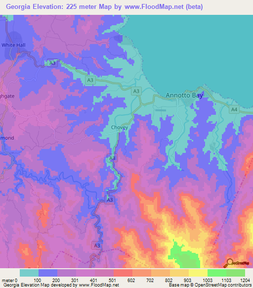 Georgia,Jamaica Elevation Map