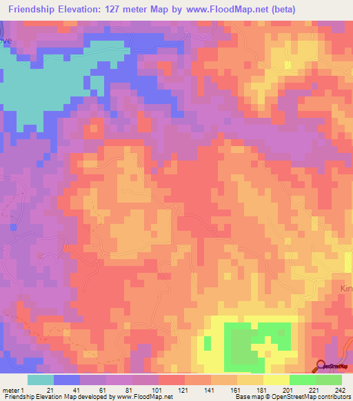 Friendship,Jamaica Elevation Map