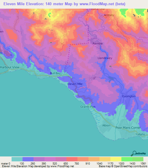 Eleven Mile,Jamaica Elevation Map