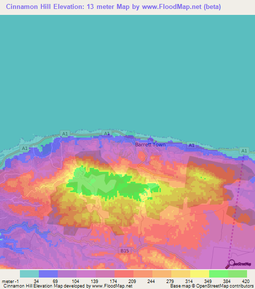 Cinnamon Hill,Jamaica Elevation Map
