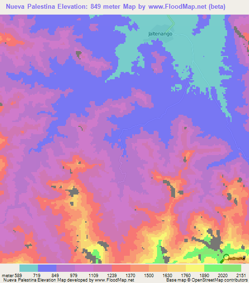 Nueva Palestina,Mexico Elevation Map
