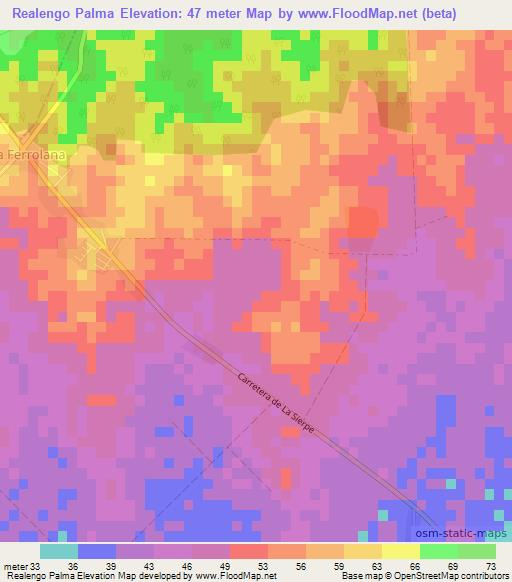 Realengo Palma,Cuba Elevation Map