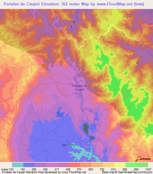 Puriales de Caujeri,Cuba Elevation Map