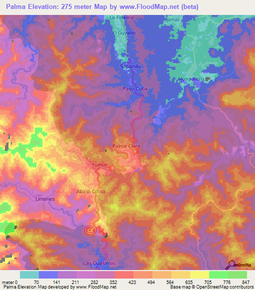 Palma,Cuba Elevation Map