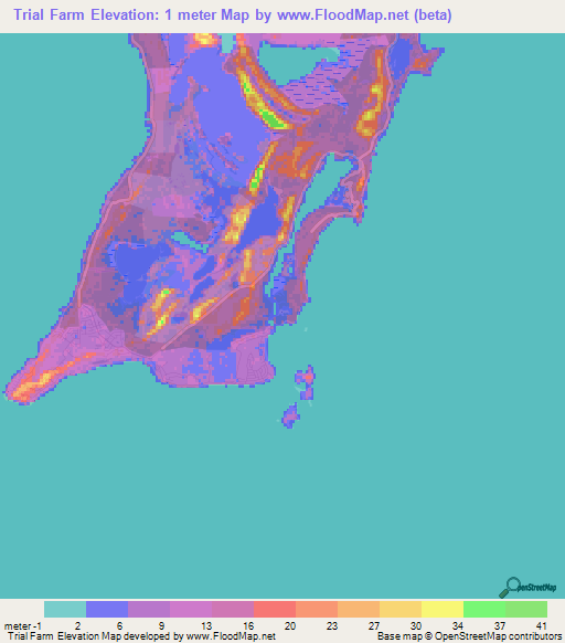 Trial Farm,Bahamas Elevation Map