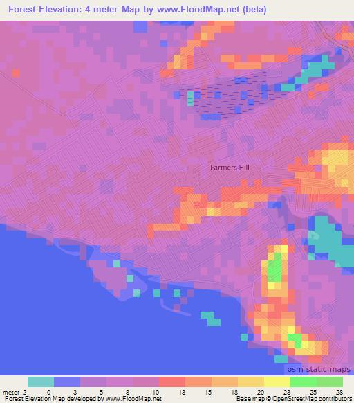 Forest,Bahamas Elevation Map
