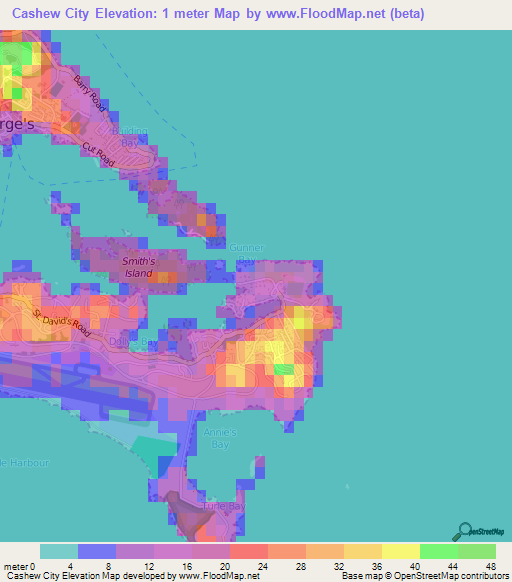 Cashew City,Bermuda Elevation Map