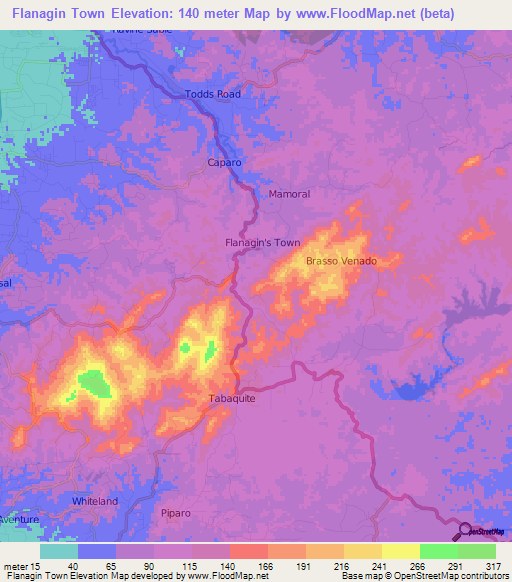 Flanagin Town,Trinidad and Tobago Elevation Map