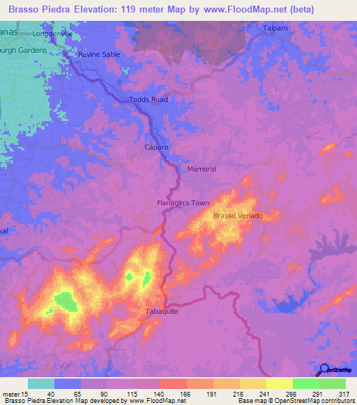 Brasso Piedra,Trinidad and Tobago Elevation Map