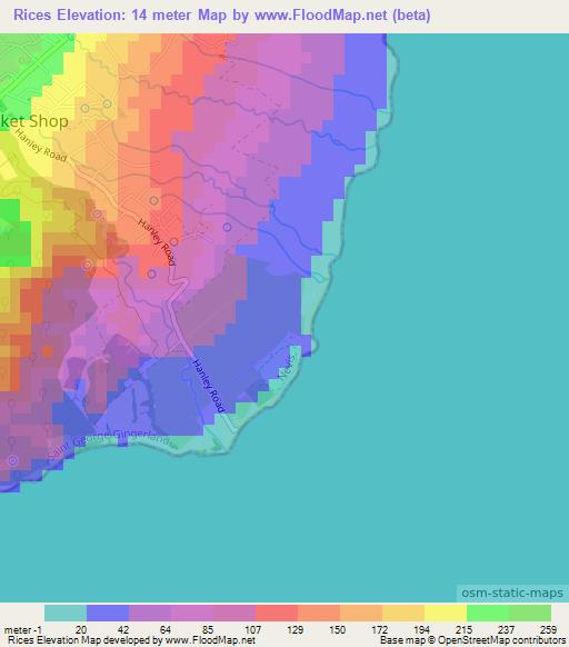Rices,Saint Kitts and Nevis Elevation Map