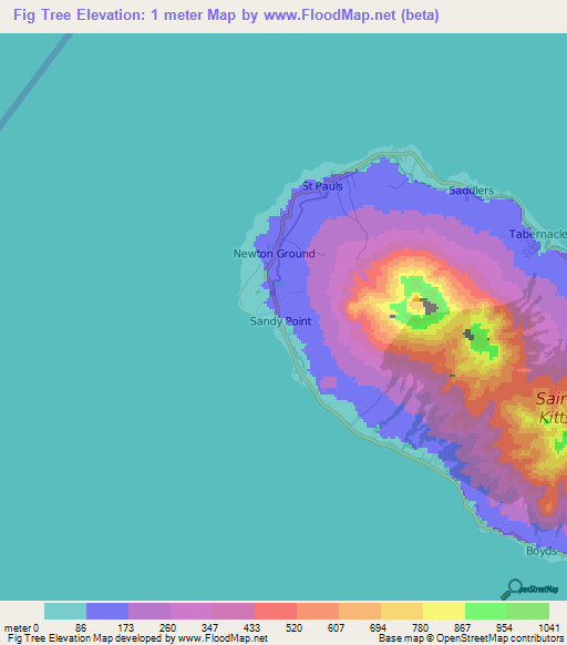Fig Tree,Saint Kitts and Nevis Elevation Map