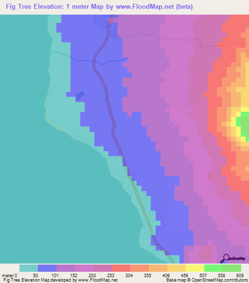 Fig Tree,Saint Kitts and Nevis Elevation Map