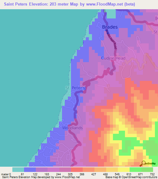Saint Peters,Montserrat Elevation Map